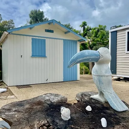 Le Petit Coin De Paradis - Centre-ville -