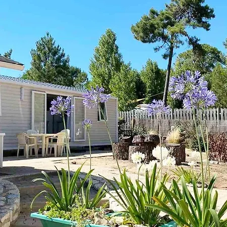 Le Petit Coin De Paradis - Centre-ville - Pensión La Tranche-sur-Mer