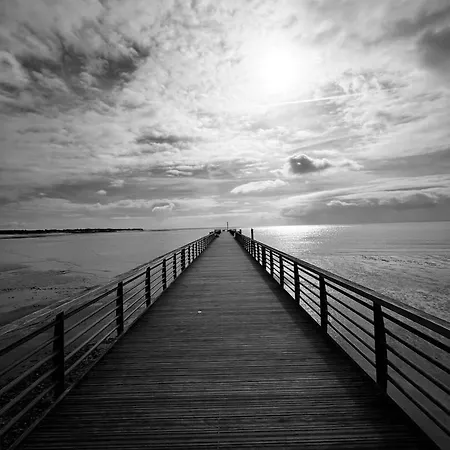 Le Petit Coin De Paradis - Centre-ville - La Tranche-sur-Mer