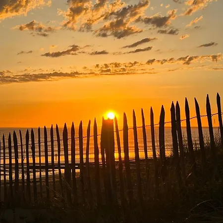 Le Petit Coin De Paradis - Centre-ville - 라트슈수르메르