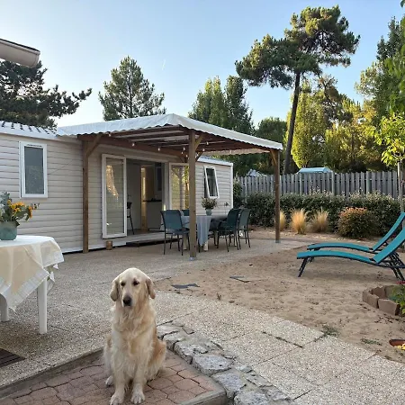 Le Petit Coin De Paradis - Centre-ville - 게스트하우스