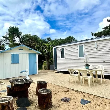 Le Petit Coin De Paradis - Centre-ville - 3*