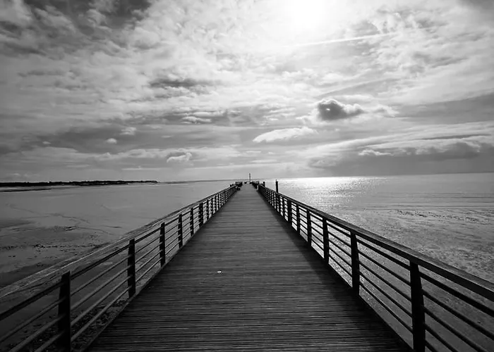 Le Petit Coin De Paradis - Centre-ville - La Tranche-sur-Mer